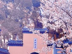 -鸡鸣寺