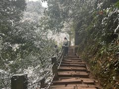 -青城山