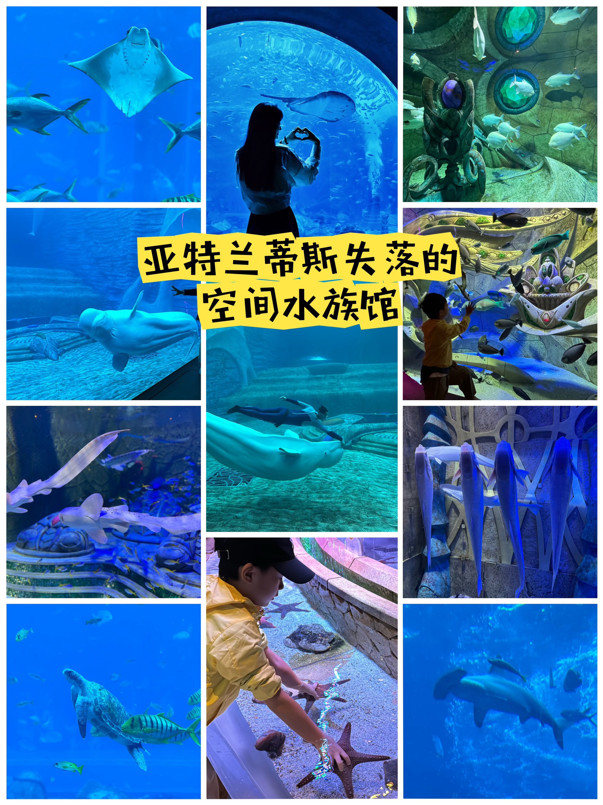 亚特兰蒂斯水族馆介绍图片