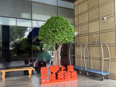 -上海外滩英迪格酒店