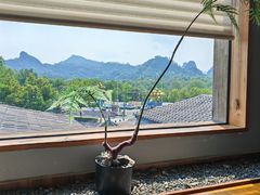 -宴武夷·匠心闽味(印象大红袍店)