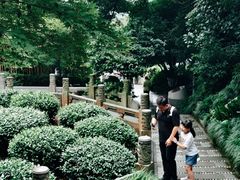 -十八棵（老龙井）御茶园(老龙井店)