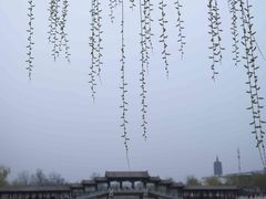 -西海子公园