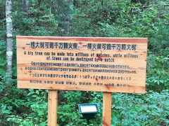 -汤旺河林海奇石景区