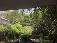 -广州兰圃