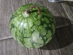 -鲜力达果品批发直销(青山店)