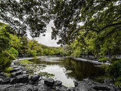 -灵谷景区
