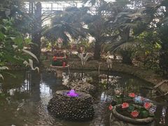 -南和农业嘉年华