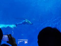 -多彩贵州城极地海洋世界