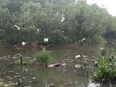 -新江湾城公园