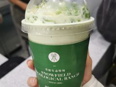 -茉酸奶(春熙路店)