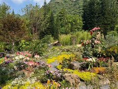 -深圳仙湖植物园
