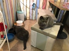 -小时光咖啡馆(开森度假森林店)