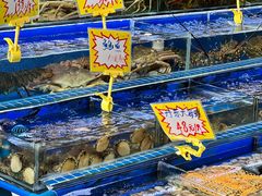 -大东海海鲜酒楼(渔人码头总店)