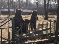 -秦皇岛野生动物园