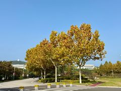 -山东大学(威海校区)