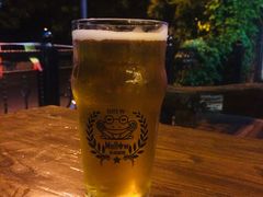 -麦落精酿啤酒餐吧(先农大院店)