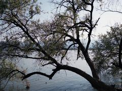 -西昌邛海宾馆