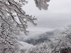 -安吉龙王山风景区