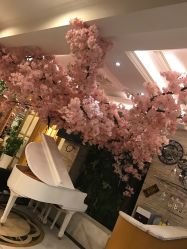 -逸丝风尚