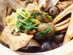 田螺鹅掌煲-食爺炭炉鸡煲·烧烤