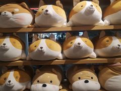 -名创优品(光耀东方购物中心店)