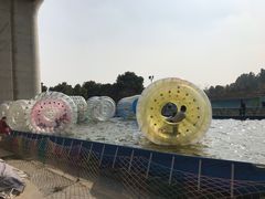 -秀丽东方