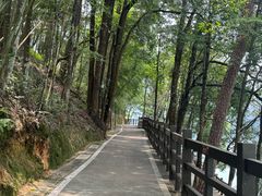 -广州市流溪河国家森林公园