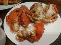 -以岭健康城·凯旋门大酒店-怡梦音乐西餐厅