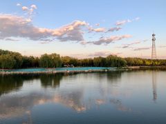 -大兴滨河森林公园