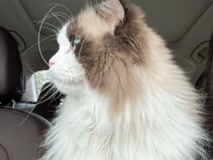 -西安浐灞艾美酒店·汉江餐厅·火锅