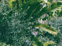 -MOJ coffee(瓯海泽雅水碓坑店)