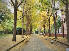 -西南交通大学(九里校区)