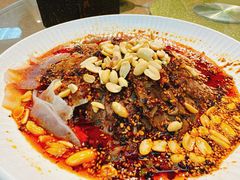 -陈麻婆豆腐(旗舰店)