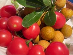 -季季山·云南野生菌火锅(上海首店)