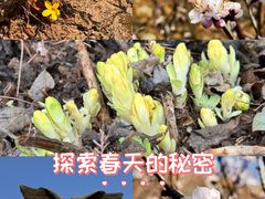 -北京鹫峰国家森林公园