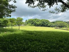 -东莞植物园