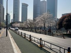 -西北湖绿化广场