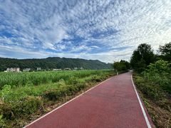 -新安江山水画廊风景区