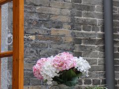 -无影脚佛山陈氏盲公丸始创店(飞鸿街店)