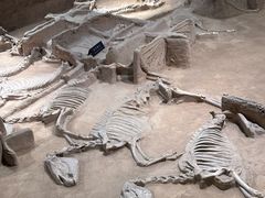 -洛阳周王城天子驾六博物馆