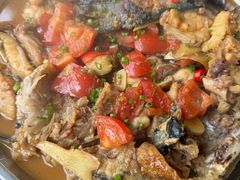 -遇龙河大樟树农家乐