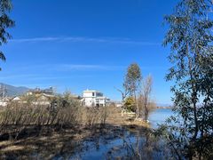 -茶马古道·野生菌清汤黄牛肉(沙溪店)
