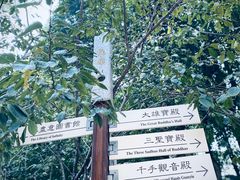 -龙华寺