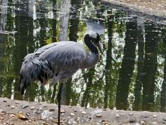 -艾溪湖湿地公园