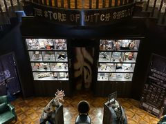 -雪灵魔法世界SHELLY’S TAROT(大良桂畔里店)