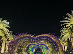 -三亚海昌梦幻海洋不夜城