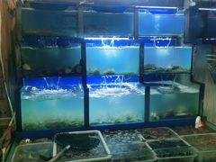 水产区-老东镇啤酒屋海鲜加工·蒸汽海鲜·海鲜烧烤(台东店)