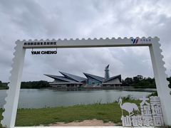 -盐城丹顶鹤湿地生态旅游区