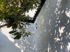 -南京市民俗博物馆(甘熙宅第)
